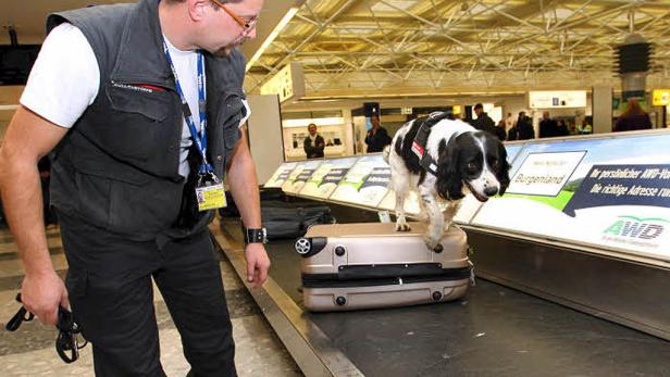 Österreichs erfolgreichster Geldschnüffler