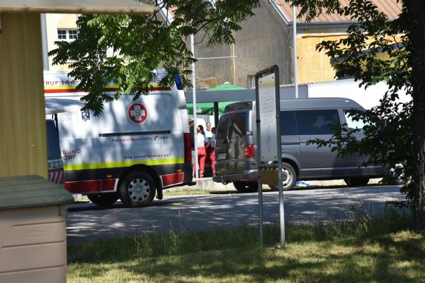 Mord in Traiskirchen