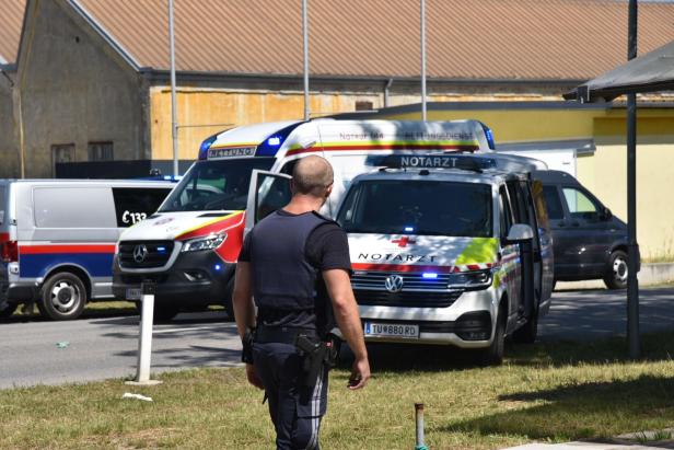 Mord in Traiskirchen