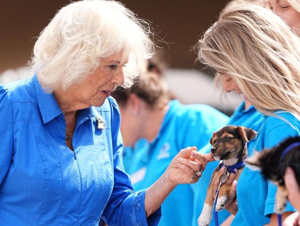 Camilla adoptierte kürzlich selbst einen Hund namens "Moley" BRITAIN-ROYAL-ANIMAL-CHARITY
