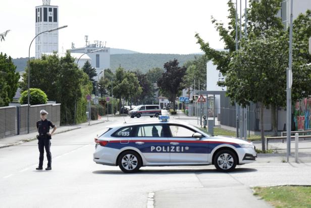 NIEDERÖSTERREICH: GROSSEINSATZ IM BEZIRK NEUNKIRCHEN NACH FESTNAHME EINES MANNES NIEDERÖSTERREICH: GROSSEINSATZ IM BEZIRK NEUNKIRCHEN NACH FESTNAHME EINES MANNES