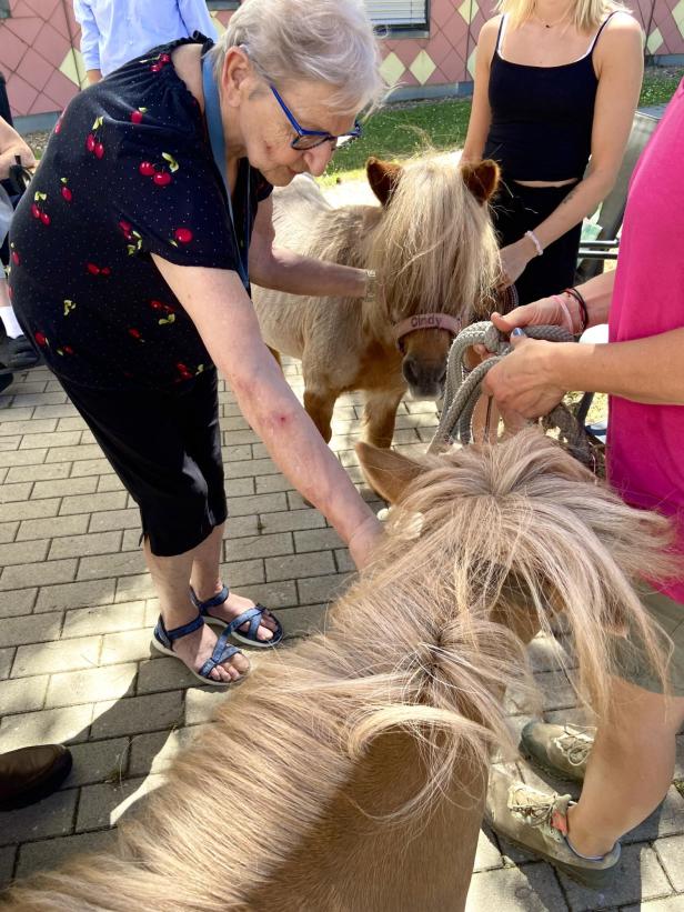 Erika Karlhofer streichelt zwei braune Ponys.