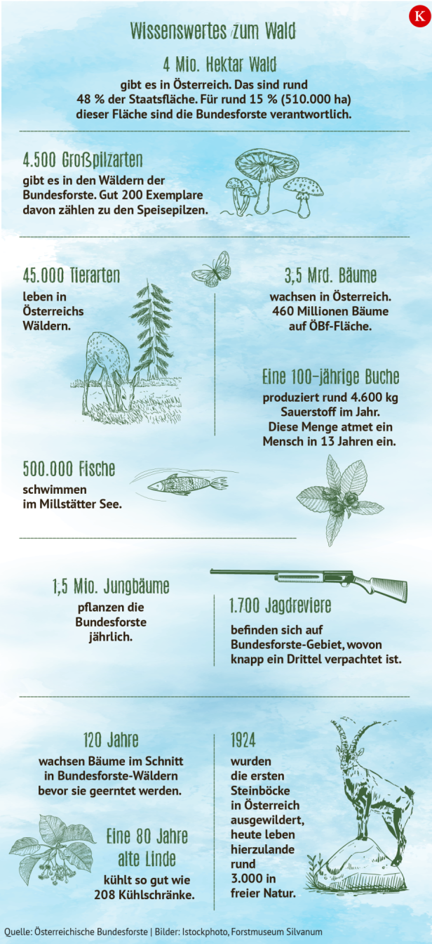 Kurier Grafik