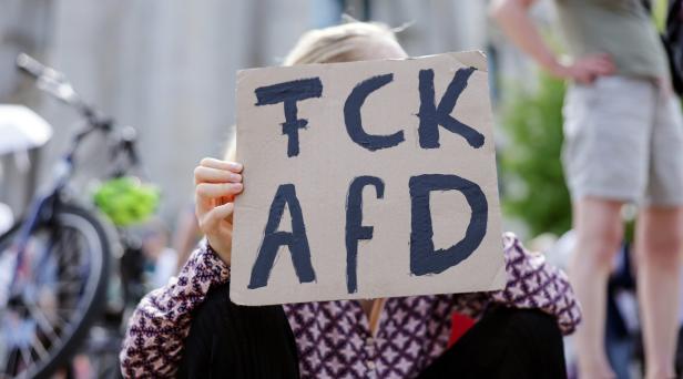AfD party co-leader Alice Weidel attends summer interview in Berlin AfD party co-leader Alice Weidel attends summer interview in Berlin