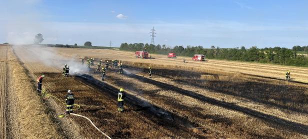 Feuerwehrleute löschen einen Feldbrand in Wullersdorf.