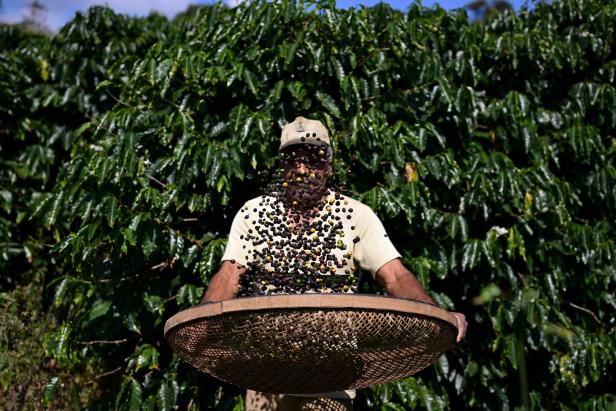 Filterkaffee TOPSHOT-BRAZIL-US-ECONOMY-TRADE-TARRIFS-COFFEE