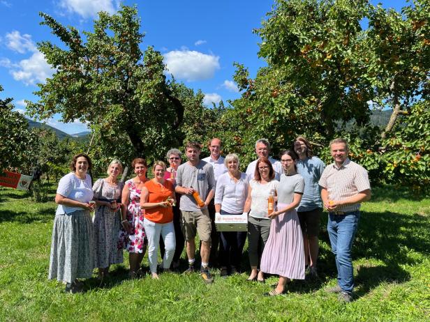 Viele Menschen im Marillengarten.