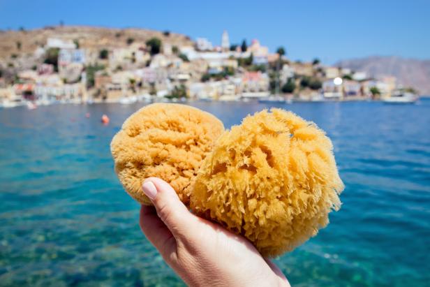 Eine Touristin hält einen griechischen Naturschwamm von der Insel Symi vor der Stadt Symi an einem sonnigen Sommertag.