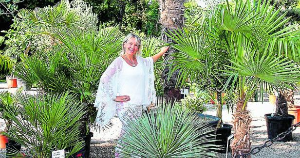 Zimmerpflanze im Garten: Yucca richtig pflegen im Sommer