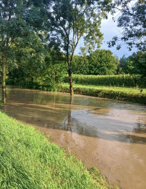 Ein über die Ufer getretener Fluss umspült Bäume und Wiesen.