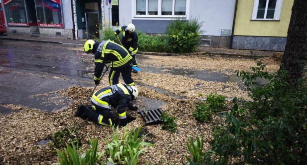 Feuerwehrleute der FF Breitenwaida beseitigen Äste und Blätter von der Straße.