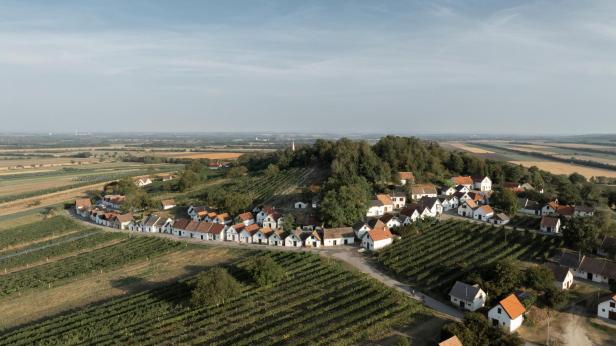 Weinberge von oben 