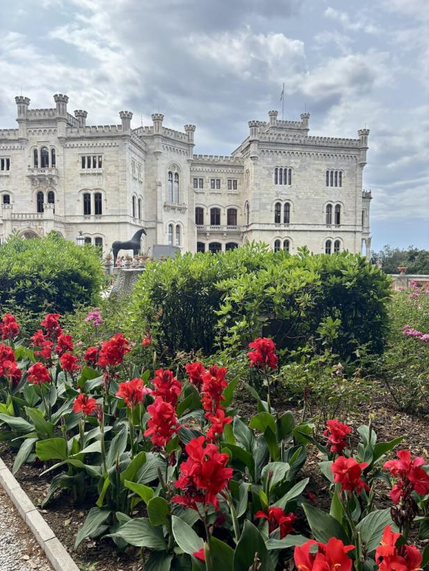 Das Schloss Miramare mit roten Blumen im Vordergrund.