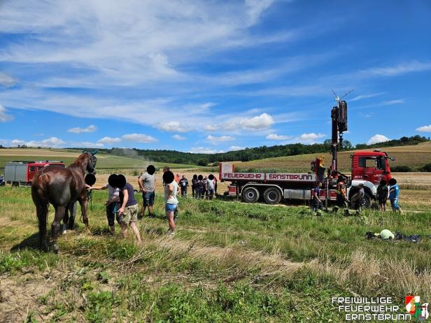 Ein Pferd wird von der Feuerwehr Ernstbrunn gerettet.