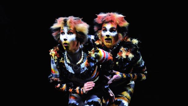 Die Rückkehr der Katzen