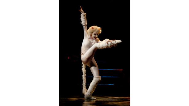 Die Rückkehr der Katzen