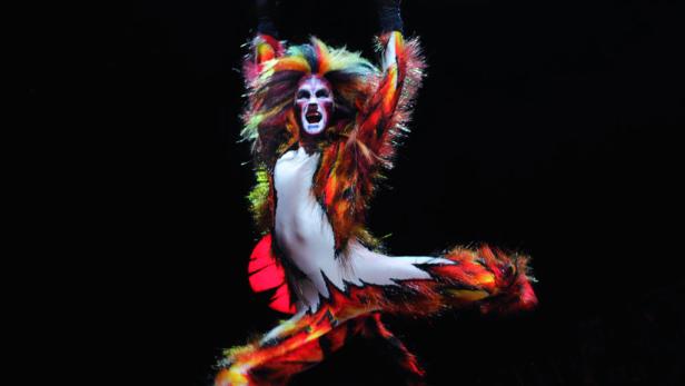 Die Rückkehr der Katzen