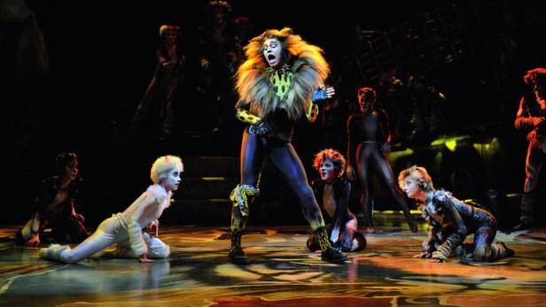 Die Rückkehr der Katzen