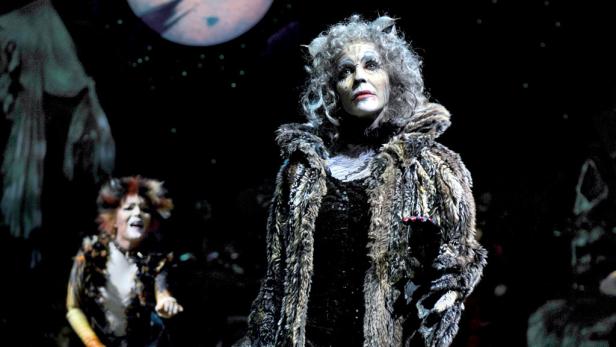 Die Rückkehr der Katzen