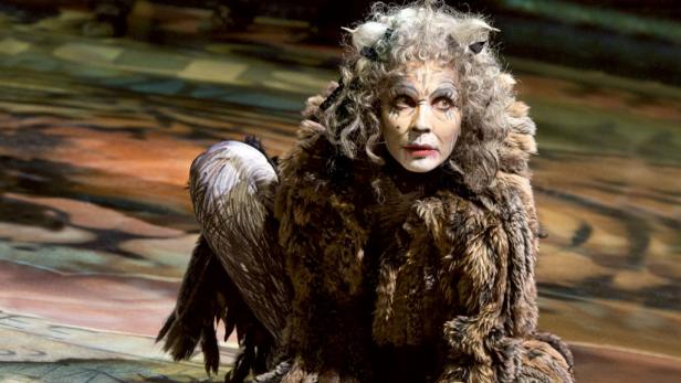 Die Rückkehr der Katzen