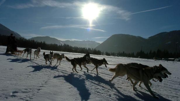 Der Winter abseits der Piste