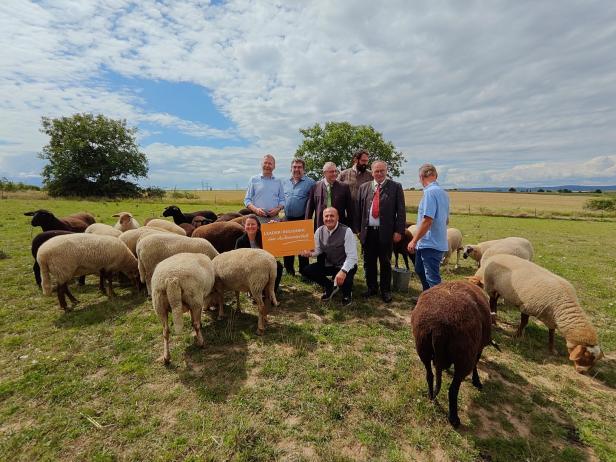Eine Gruppe von Personen steht mit einer Schafherde auf einer Weide.