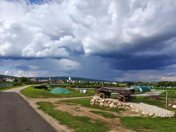 Ein alter Holzwagen steht auf einem Feld im Weinviertel.