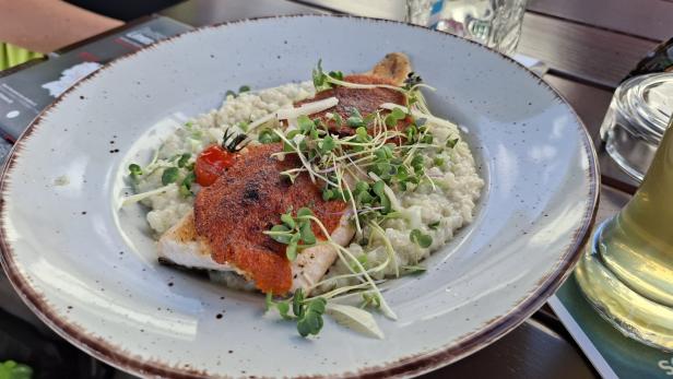 Ein Teller mit Fisch, Risotto und einer roten Soße, garniert mit Sprossen und einer Tomate.