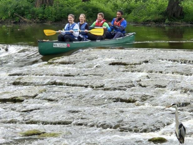 Vier Personen paddeln in einem Kanu über einen Fluss mit einem Reiher am Ufer.
