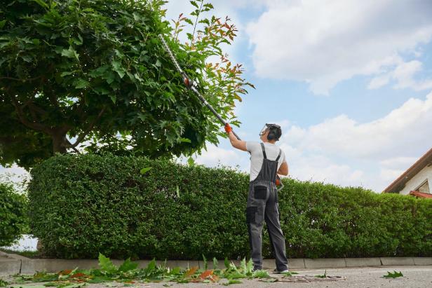 Caucasian man in mask and gloves pruning trees outdoors Caucasian man in mask and gloves pruning trees outdoors