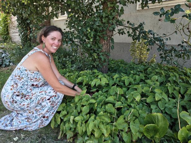 Pia Eis slow gardening