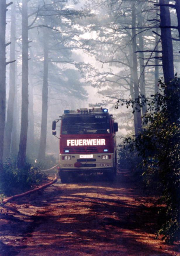 Feuerwehrauto im Wald 46-217750472