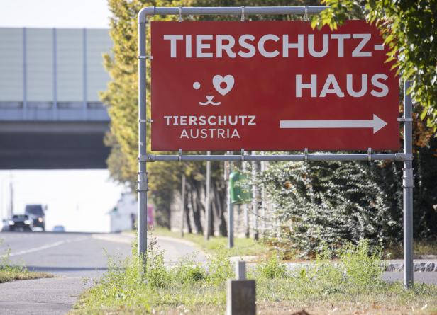 Reportage Tierschutzhaus Vösendorf
