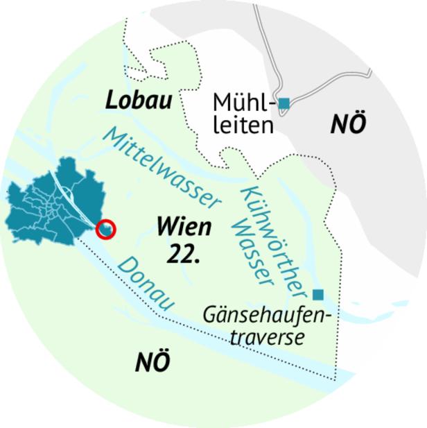 46-217937812