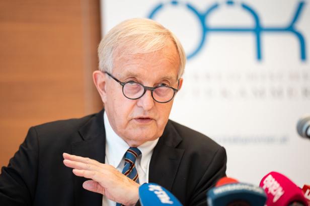 PK ÖSTERREICHISCHE ÄRZTEKAMMER (ÖÄK) "PRÄSENTATION DER AKTUELLEN ÄRZTESTATISTIK 2024": STEINHART