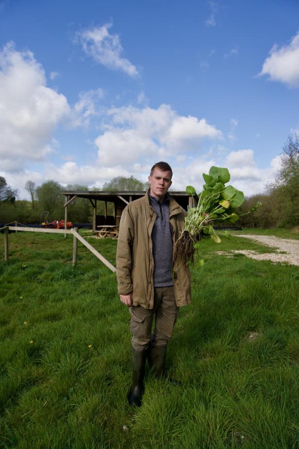 Wasabi-Farmer Josh hält eine Wasabi-Pflanze in der Hand.