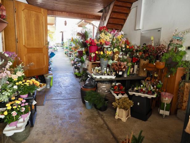 Blick in den Innenhof eines Hauses, Blumen werden zum Verkauf angeboten