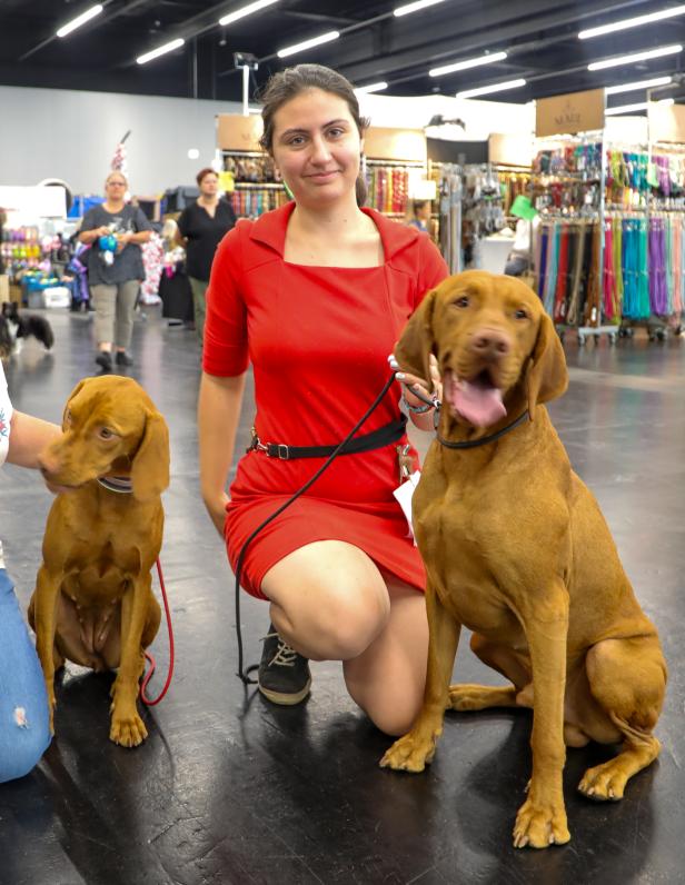 Hundeausstellung