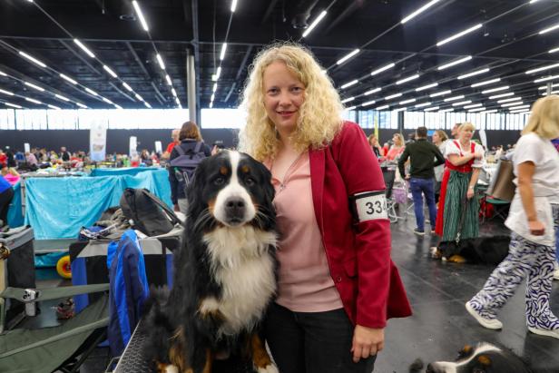 Hundeausstellung