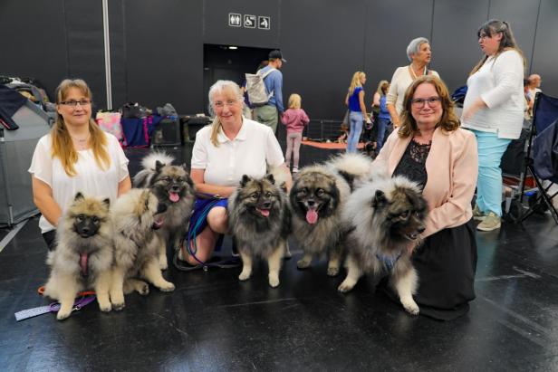 Hundeausstellung