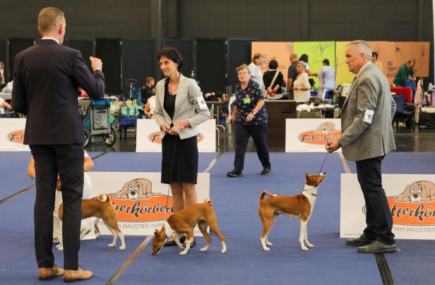 Hundeausstellung