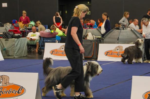 Hundeausstellung