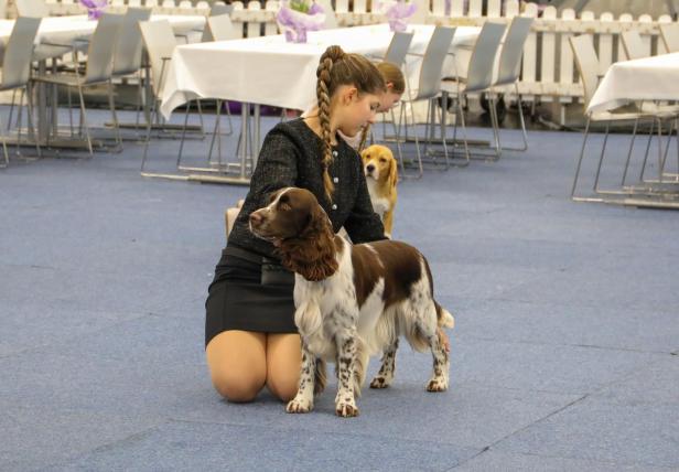 Hundeausstellung