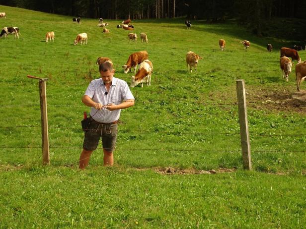 Mann repariert einen Zaun auf der Alm