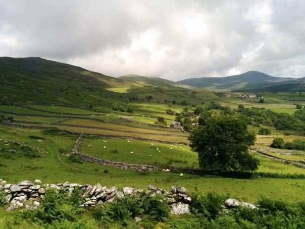 Wales: Zwischen Schafen und Schlössern