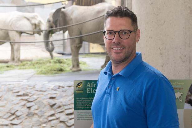 Folko Balfanz, Kurator und stellvertretender Direktor Tiergarten Schönbrunn