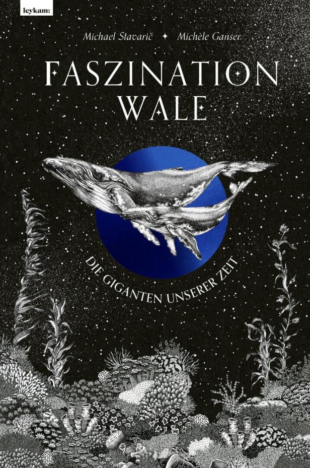 Faszination Wale Faszination Wale