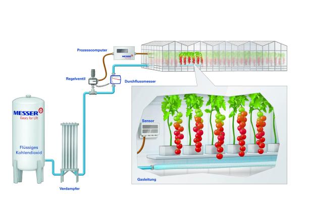 Die Grafik zeigt das CO2-Anreicherungssystem von Messer Austria für Gewächshäuser. Die Grafik zeigt das CO2-Anreicherungssystem von Messer Austria für Gewächshäuser.