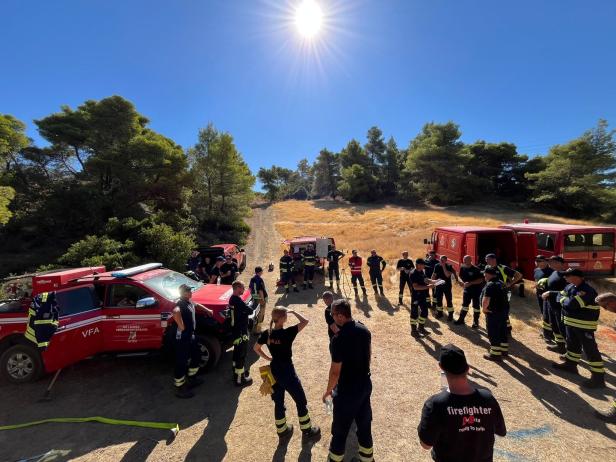 Mehrere Feuerwehrleute und Autos in einem Waldstück