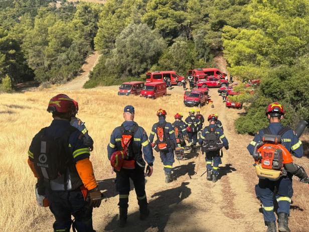 Mehrere Feuerwehrleute im Einsatz